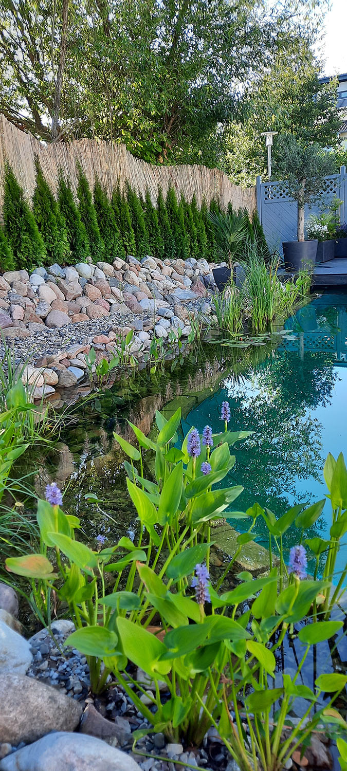 Teichbau In Der Nhe