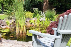 Adirondack chair at the pond