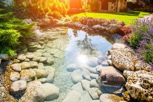 beautiful landscaping with beautiful plants
