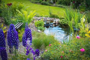 Blick in den Garten mit Teich