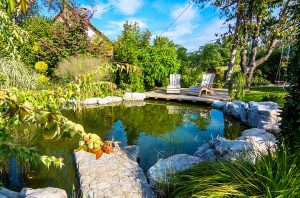 Two Adirondack chairs on a deck overlooking pond