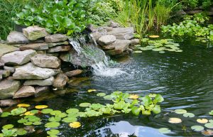 Homemade Pond