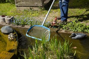 Gartenteich reinigen Teichpflege-Wartung-Pumpenanlage-Filter-saeubern